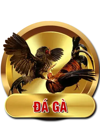 SHBET - Trang Chính Thức SHBET.COM | Casino Uy Tín #1 2026 7 cock
